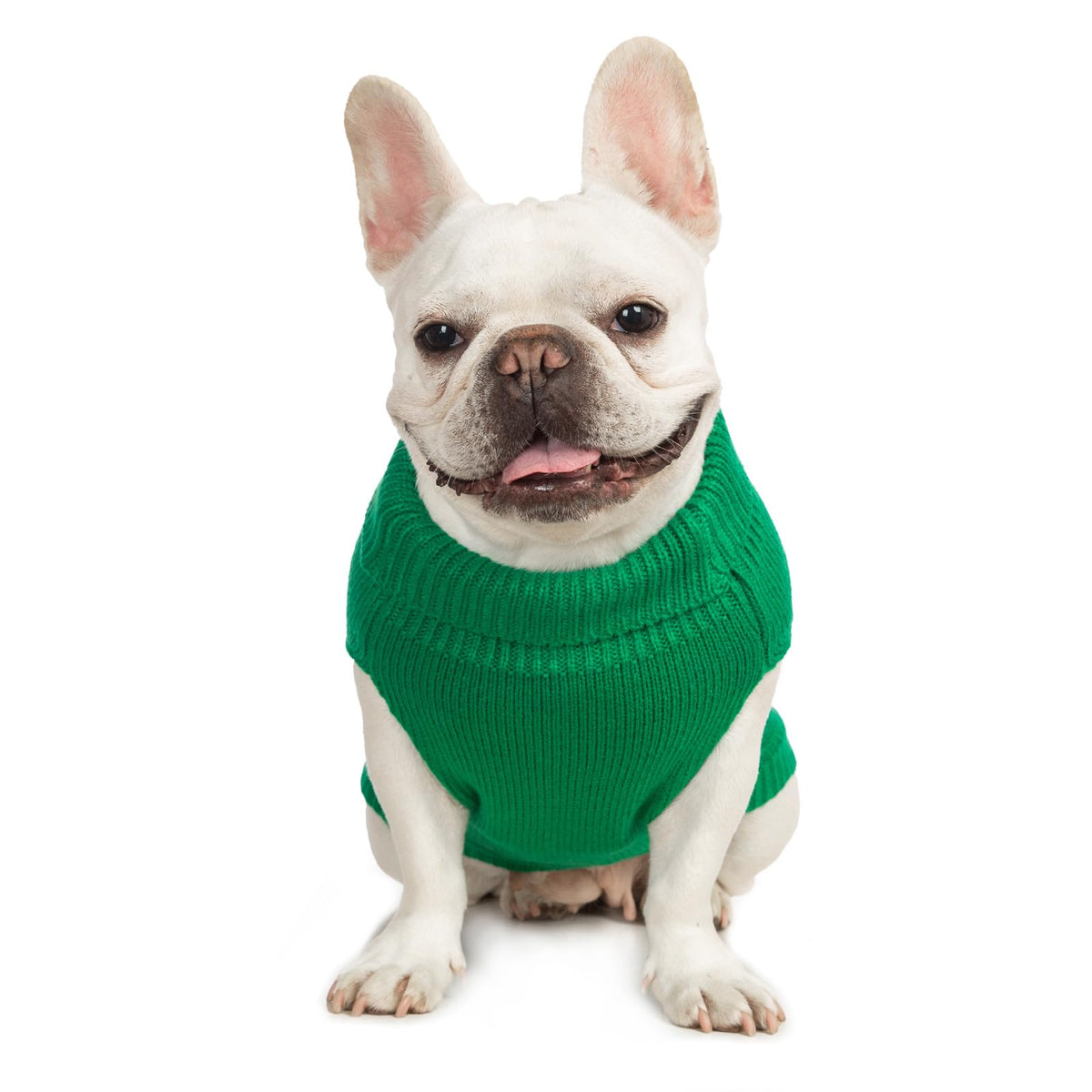 Cat Sweater Stretchy (Dark Green / XXL)