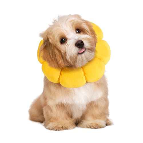 Soft Dog Cone for Dogs and Cats (M)