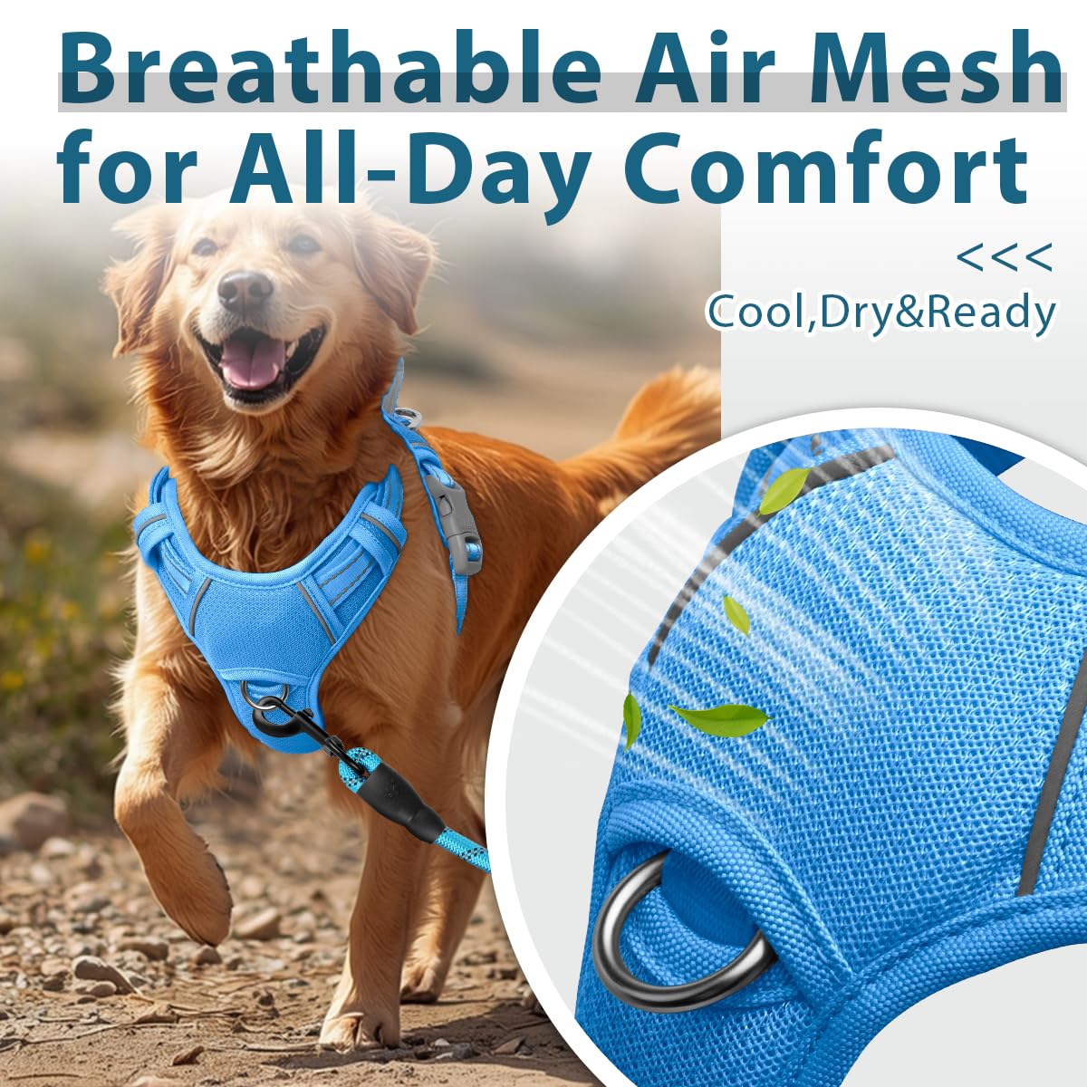 No Pull Dog Harness for Medium Sized Dogs (Blue / Medium(Chest:21.3-29"))