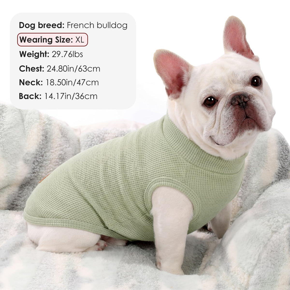 2Pack Dog Shirts Lightweight Waffle Dog Shirt for Small Dogs Sleeveless Dog Shirt for Small Medium Boy Girl Dogs Cozy & Breathable Pet Vest (M(Back: 13.8", Chest: 17.7", 8.8-13.2lbs) / Light green+Light pink)