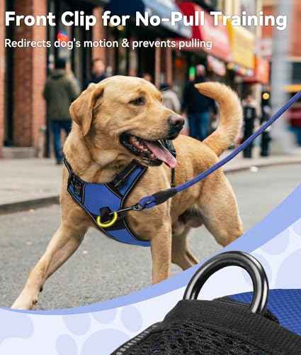 No Pull Dog Harness for Large Dogs (Large / Navy Blue)
