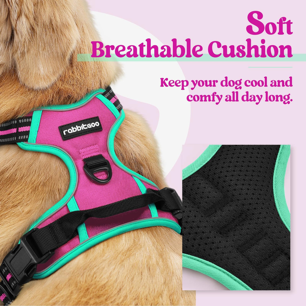 Dog Harness No Pull for Large Dogs with 2 Leash Clips (X-Large / Hot Pink & Turquoise)