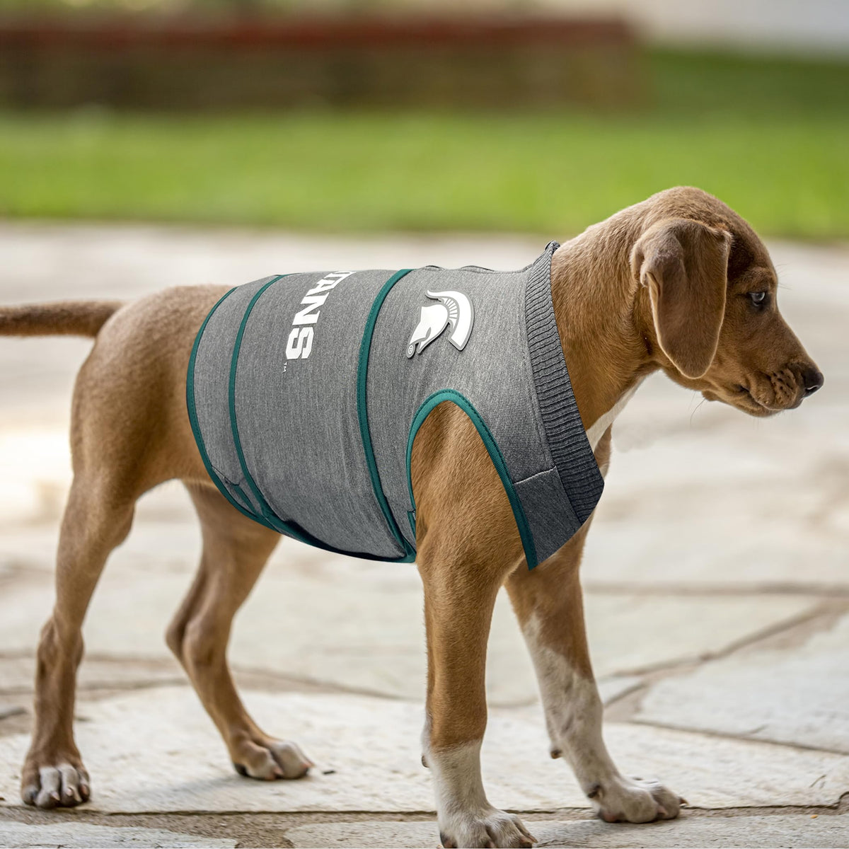 NCAA Michigan State Spartans Dog Anxiety Shirt Calming Soothing Vest for Dogs Cats with Anxiety Fears Fireworks (Medium / Michigan State Spartans)