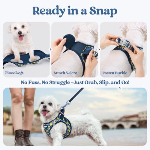 Dog Harness Small Sized and Leash Set (Navy Lemon / S (chest: 15.1 - 16.5"))