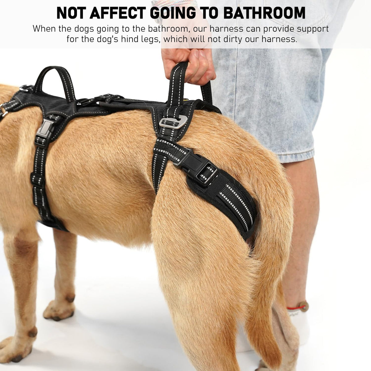 Mobility Dog Lift Harness (Black / L)