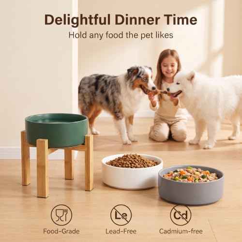Elevated Ceramic Large Dog Bowl (Large / Green)
