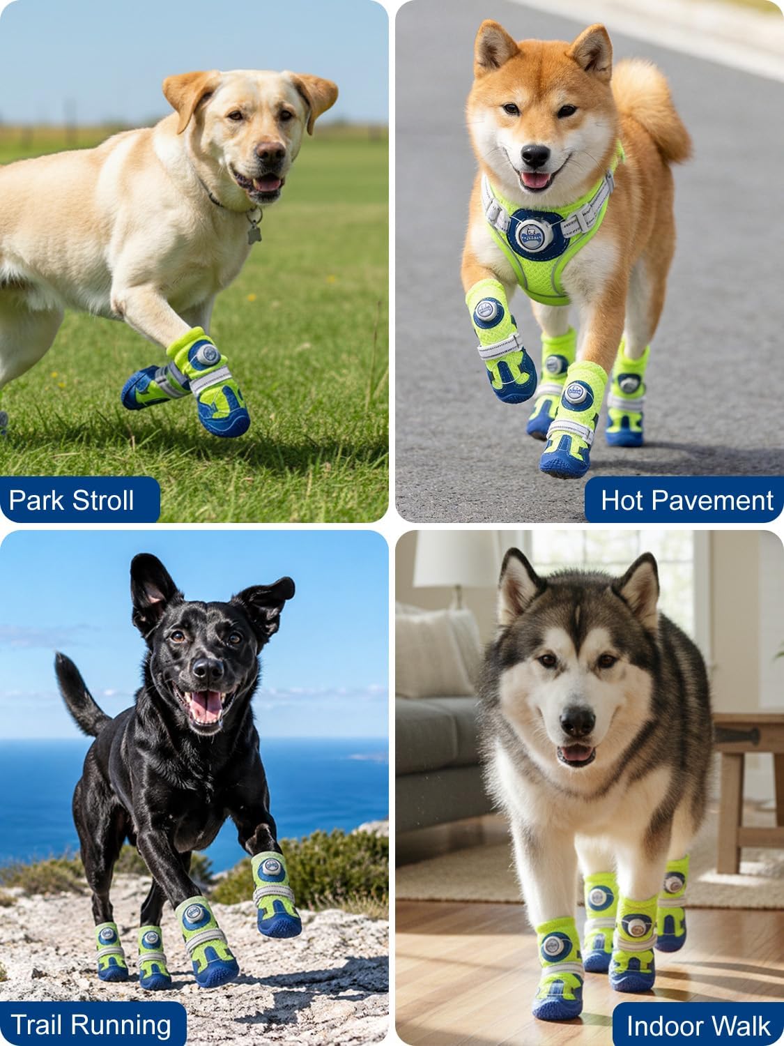Dog Shoes Tension Knob (BLUE / 6# (Insole Width 2.8″)for 59~78lbs)