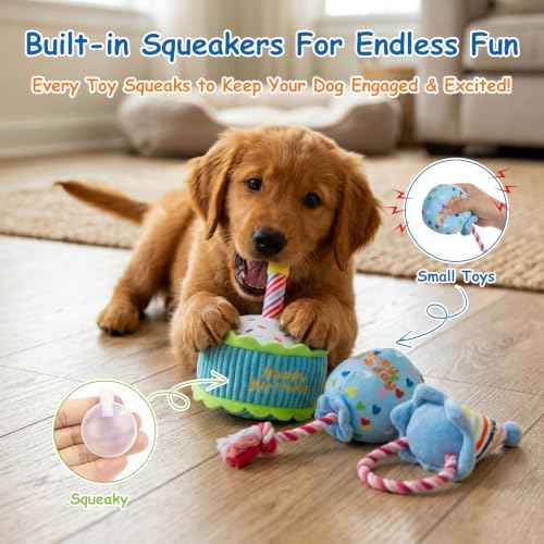 Squeaky Hide and Seek Dog Toys for Small and Medium Dogs (Birthday Set)