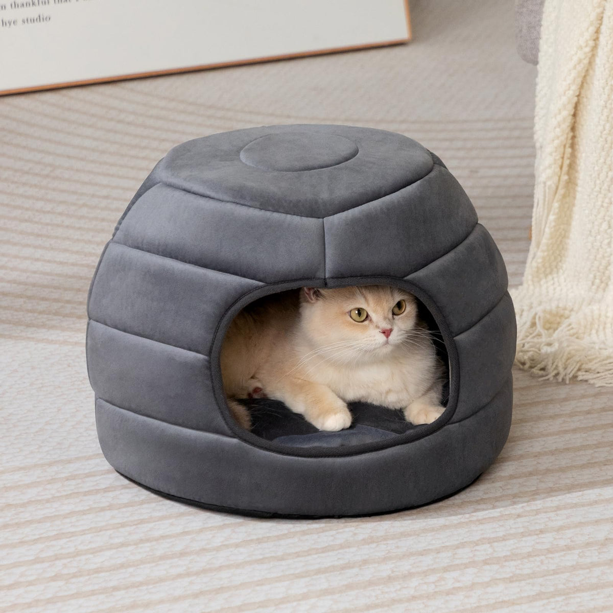 Cat Bed Cave for Indoor Cats for Pets up to 15 lbs (Dark Gray Igloo)
