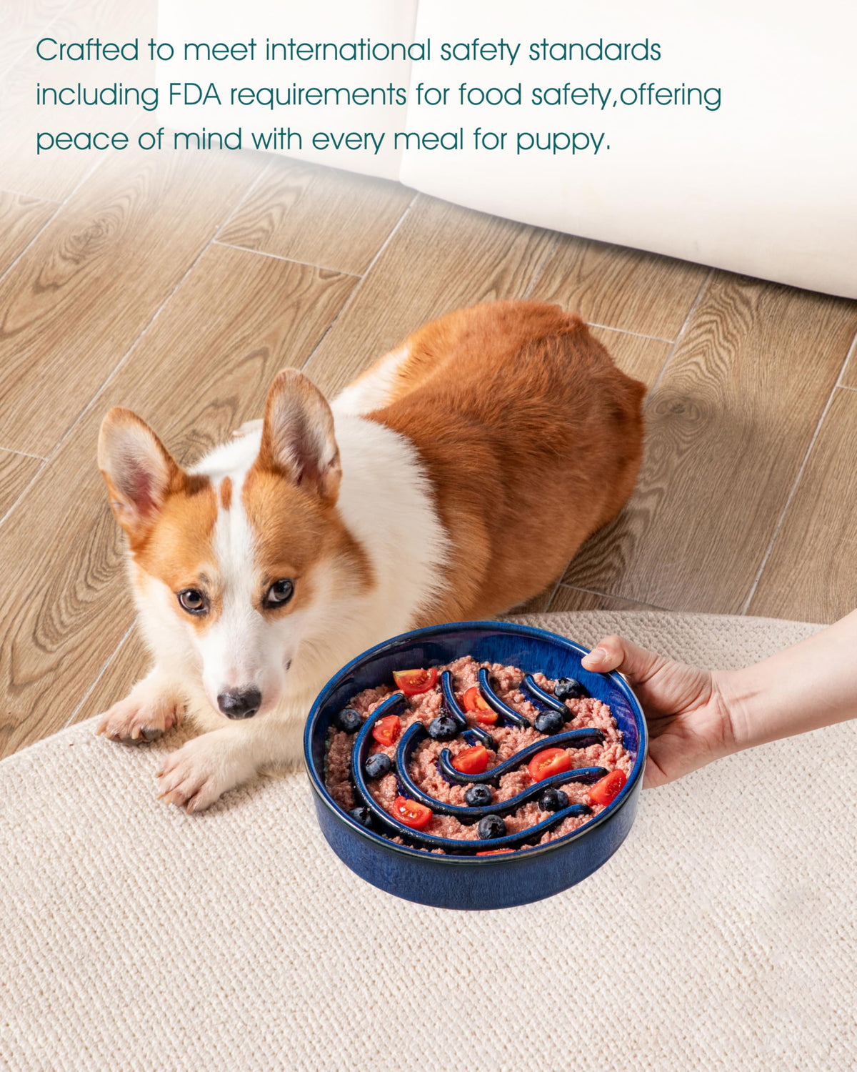 Slow Feeder Dog Bowl (Blue / 1.5 Cups)