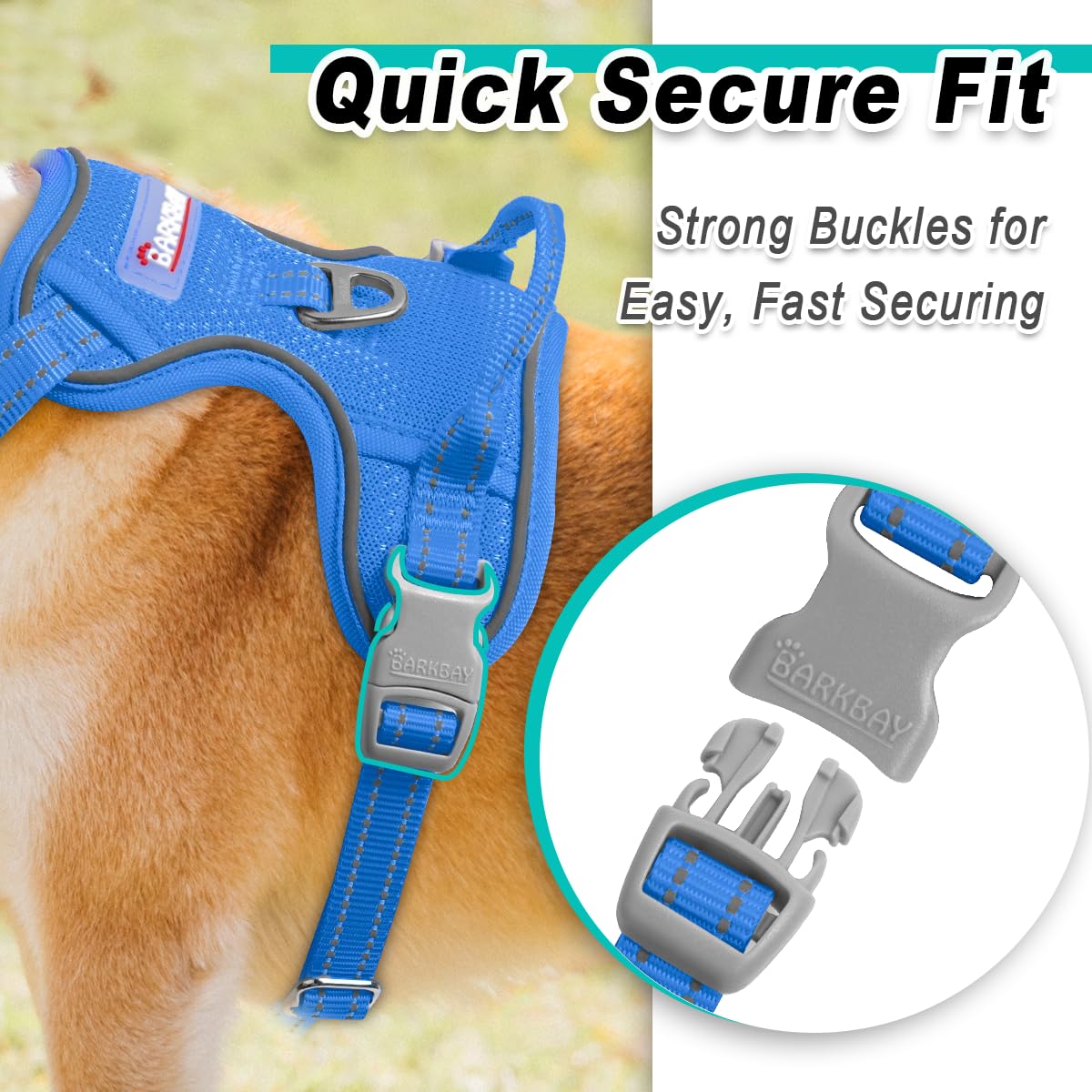 Dog Harness for Small Sized Dog No Pull Mesh 2 Clips Dog Vest (Blue-Mesh / Small)