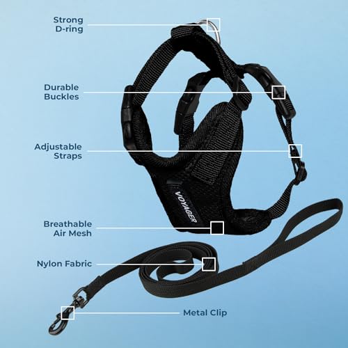 Voyager Step in Lock Cat Harness & Leash Set (Black / XXXS (Chest: 10.5 - 13"))
