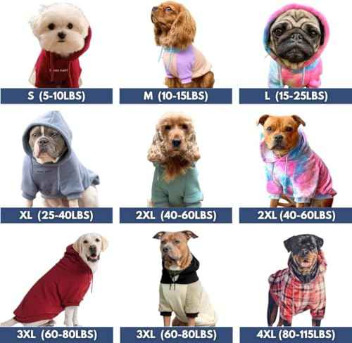Dog Hoodie Buttery (Primary Color Block / Small)