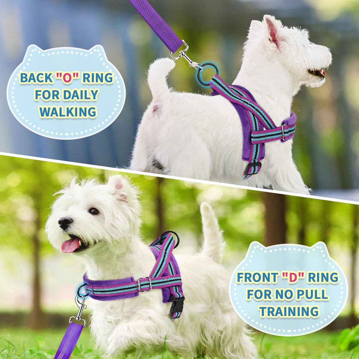 No Pull Small Dog Harness and Leash Set with Front Clip (XX-Small / Purple)