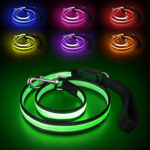 Rechargeable LED Dog Leash (Multi-colored-2)