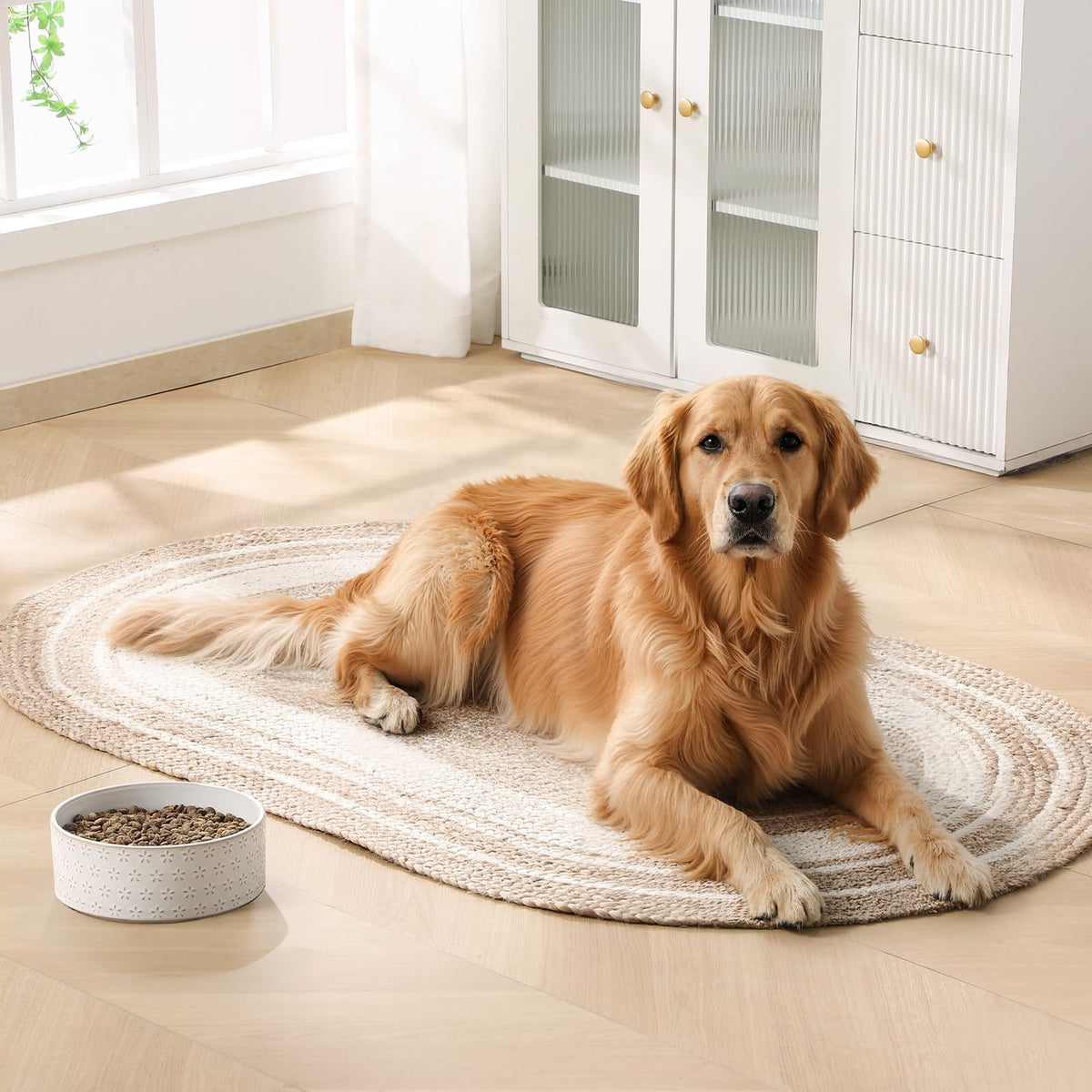 Ceramic Dog Food Bowl (Five-leaf Grass / 6 Cups)