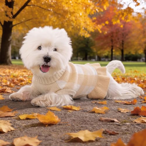 Dog Sweater Dress Plaid Knitwear for Medium Dogs Girl Christmas Clothes (Beige / Medium)
