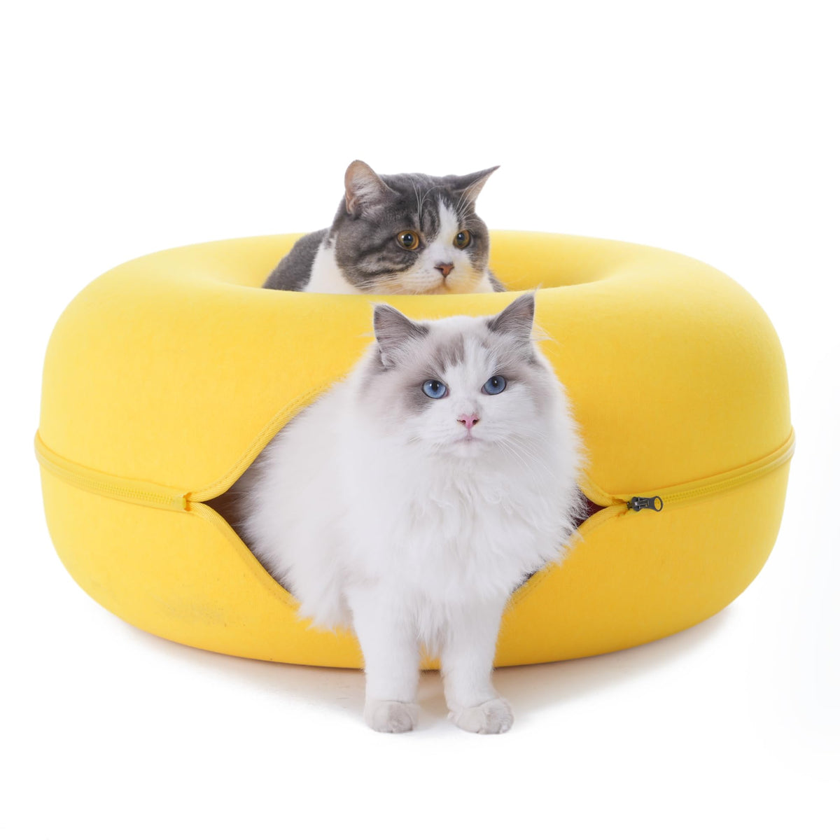 Large Cat Tunnel Bed for Indoor Cats with 3 Toys (L(24x24x11) / Yellow)