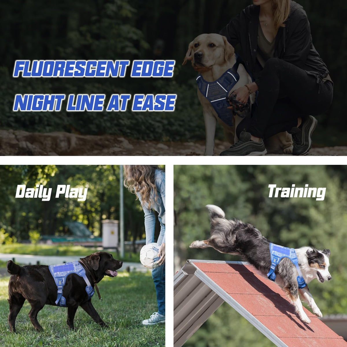 Dog Harness for Small Medium Dogs (Tribal Patterns-Blue / S(Neck:14-21",Chest:20-31"),18-35 lbs)