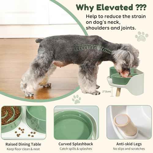 Elevated Slow Feeder Dog Bowls with Splash Proof Stand (Medium / Green)
