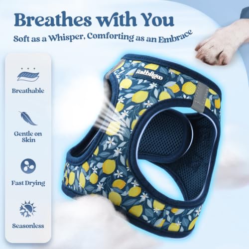 Dog Harness Medium Sized and Leash Set (Navy Lemon / M (chest: 16 - 18.5"))