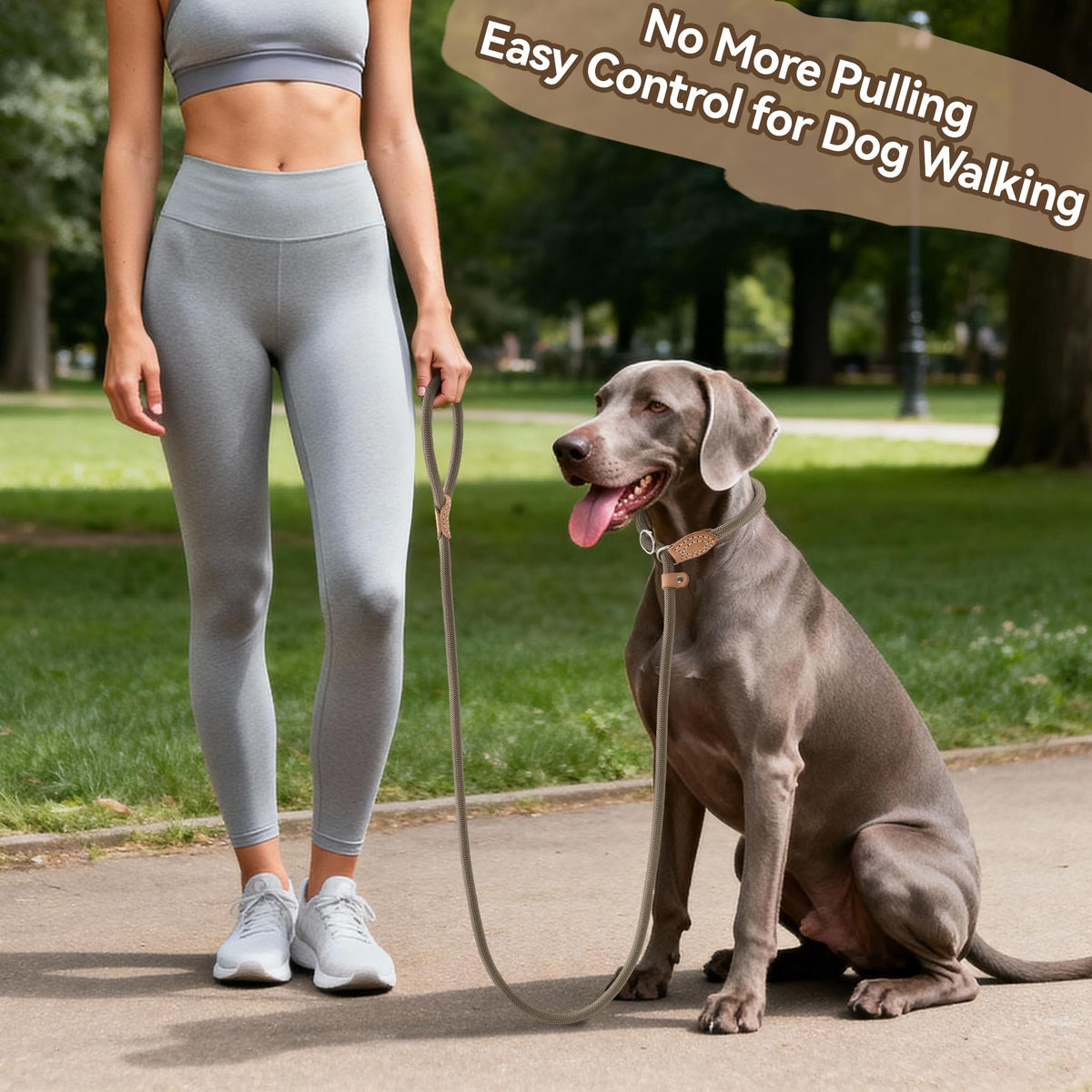Heavy Duty Slip Lead No Pull Leash 6 (Khaki / 5 Feet)