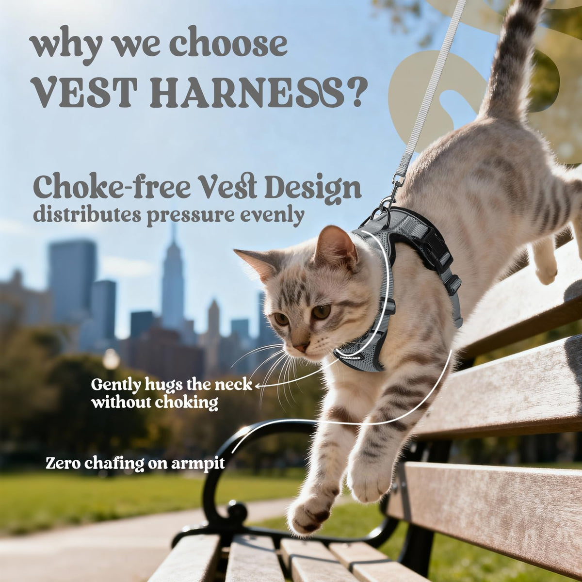 Cat Harness and Leash Set (Xs / Grey)