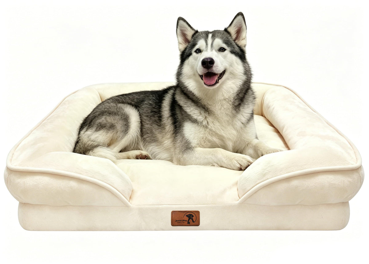 Orthopedic Dog Bed with Sides (38.0"L x 28.0"W x 6.5"Th / Ivory)