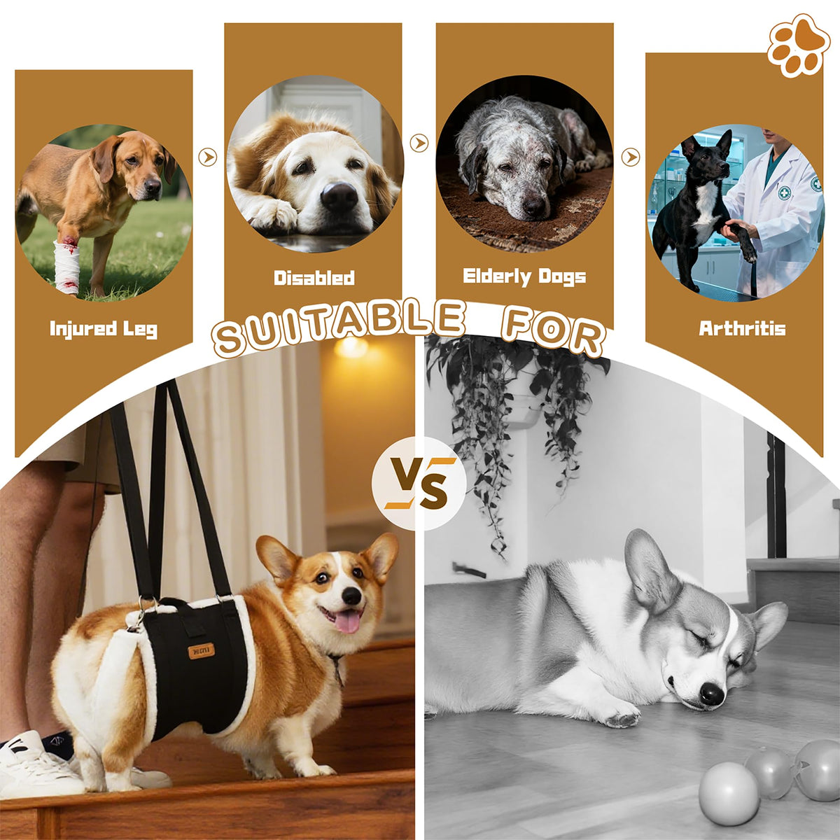Dog Lift Harness Sling for Large Dogs (XL)