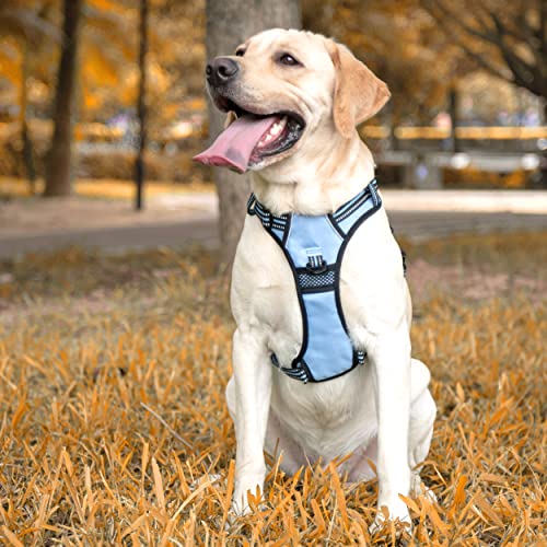 Dog Harness Large (XL / Light Blue)