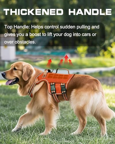 Dog Harness Tactical No Pull for Small Sized Dog with Handle (Orange / S(Neck:16-22",Chest:20-28"),18-35 lbs)