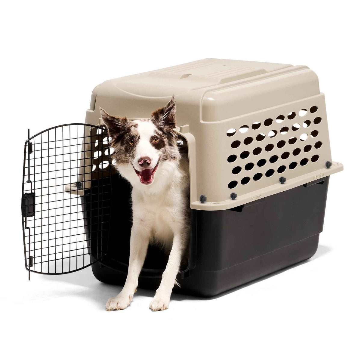Vari Dog Kennel (32.0"L x 22.5"W x 24.0"H)