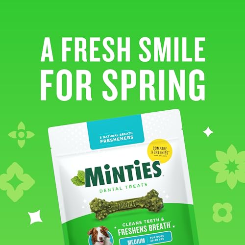 Mint Dental Chews for Dogs (Medium Dogs - 16oz)