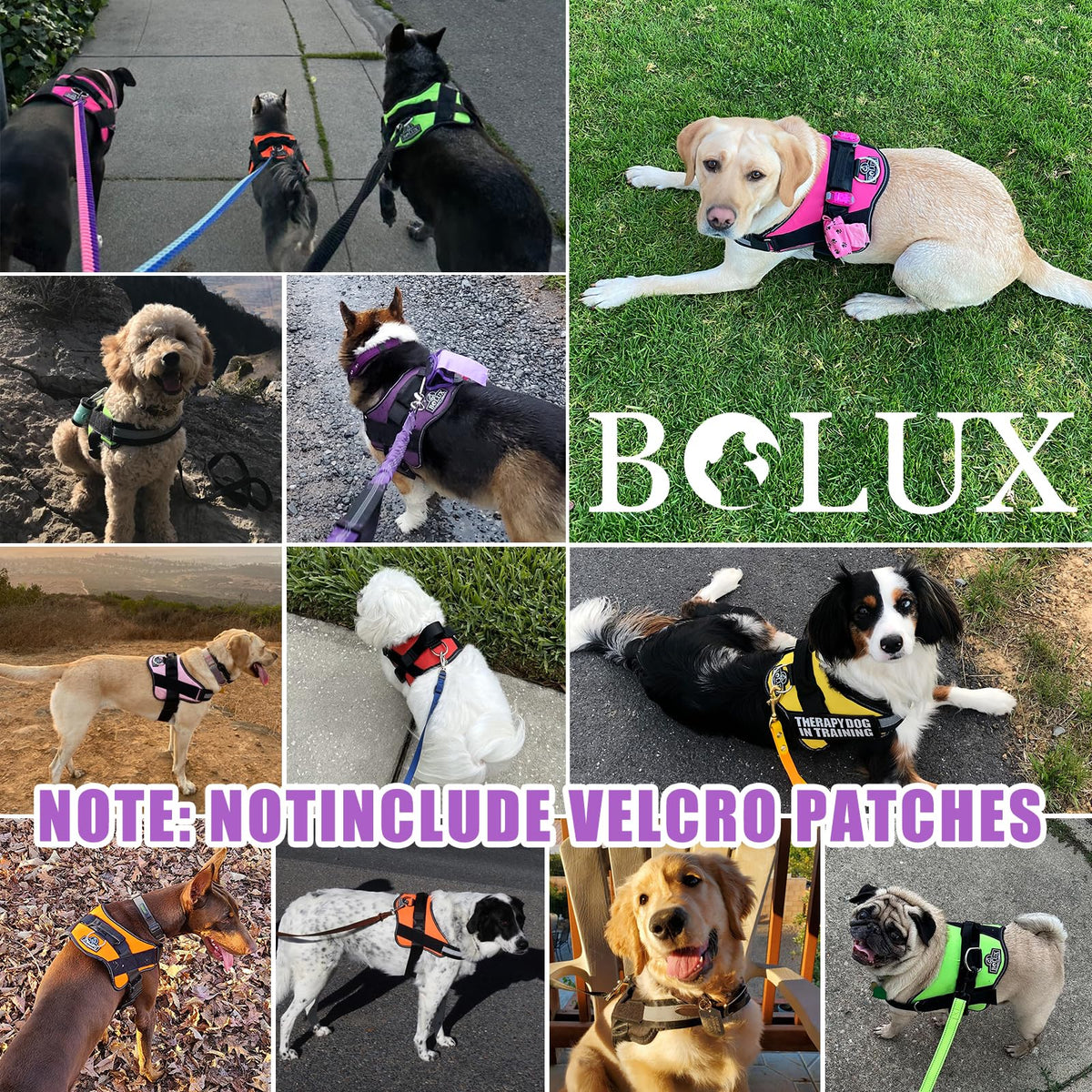 Dog Harness No (Medium (Pack of 1) / Lavender)