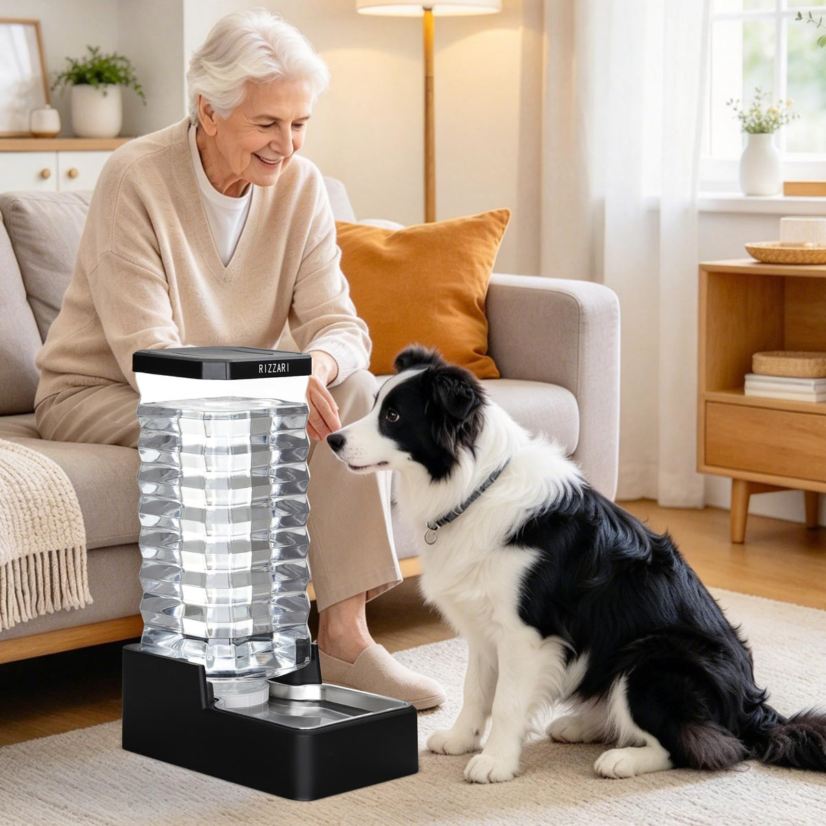 Stainless Steel Pet Water Feeder (Black / 12L)