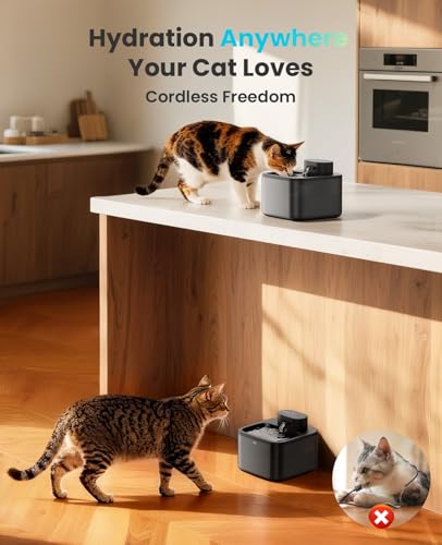 2.2L Wireless Cat Fountains with 6 Filters for Small Cats & Dogs