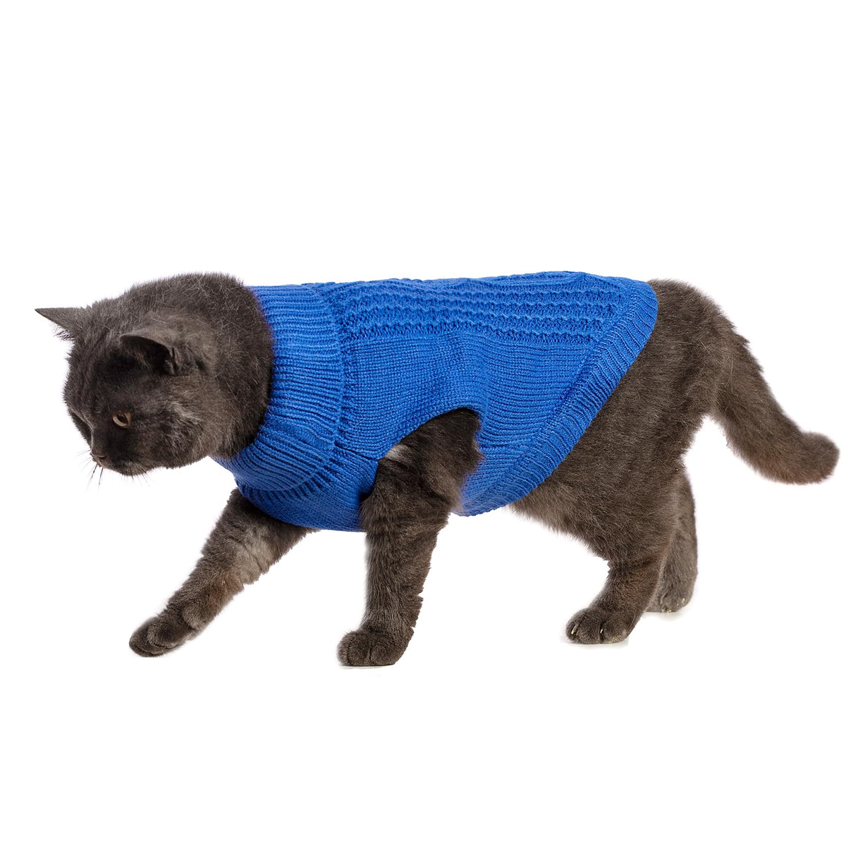 Cat Sweater Stretchy (Dark Blue / X-Small)