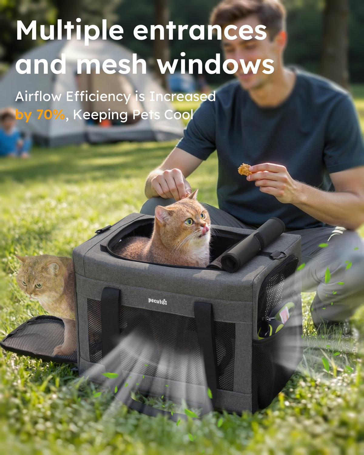 Cat Carrier Portable Travel Pet Carrier with Stable Structure (Grey / 16.7"L x 11.8"W x 12.5"H)