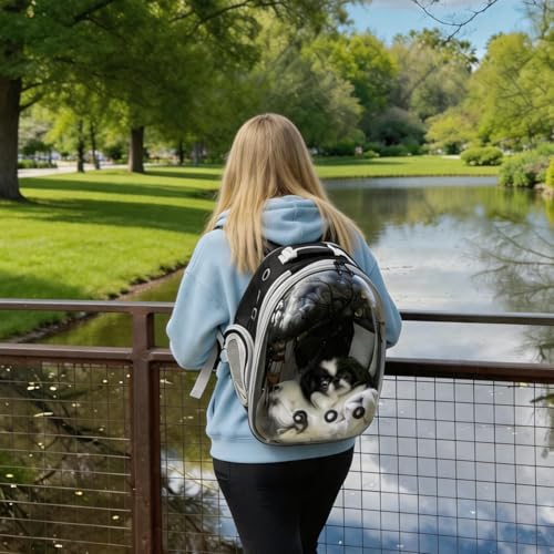Expandable Pet Backpack 14"×15"×16.5" Cats Dogs Carrier Bag (Front Expandable-Black / 14.0"L x 15.0"W x 16.5"H)