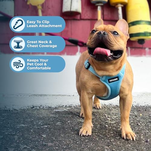 Voyager Step in Flex Adjustable Dog Harness (Magenta / L)