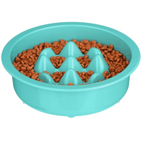 The Niner Slow Feed Bowl (Aquamarine / 2 Cup)