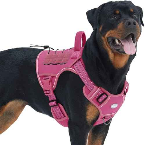 Dog Harness for Large Dogs (Rose Red / L(Neck:18-29",Chest:24-37"),45-80 lbs)