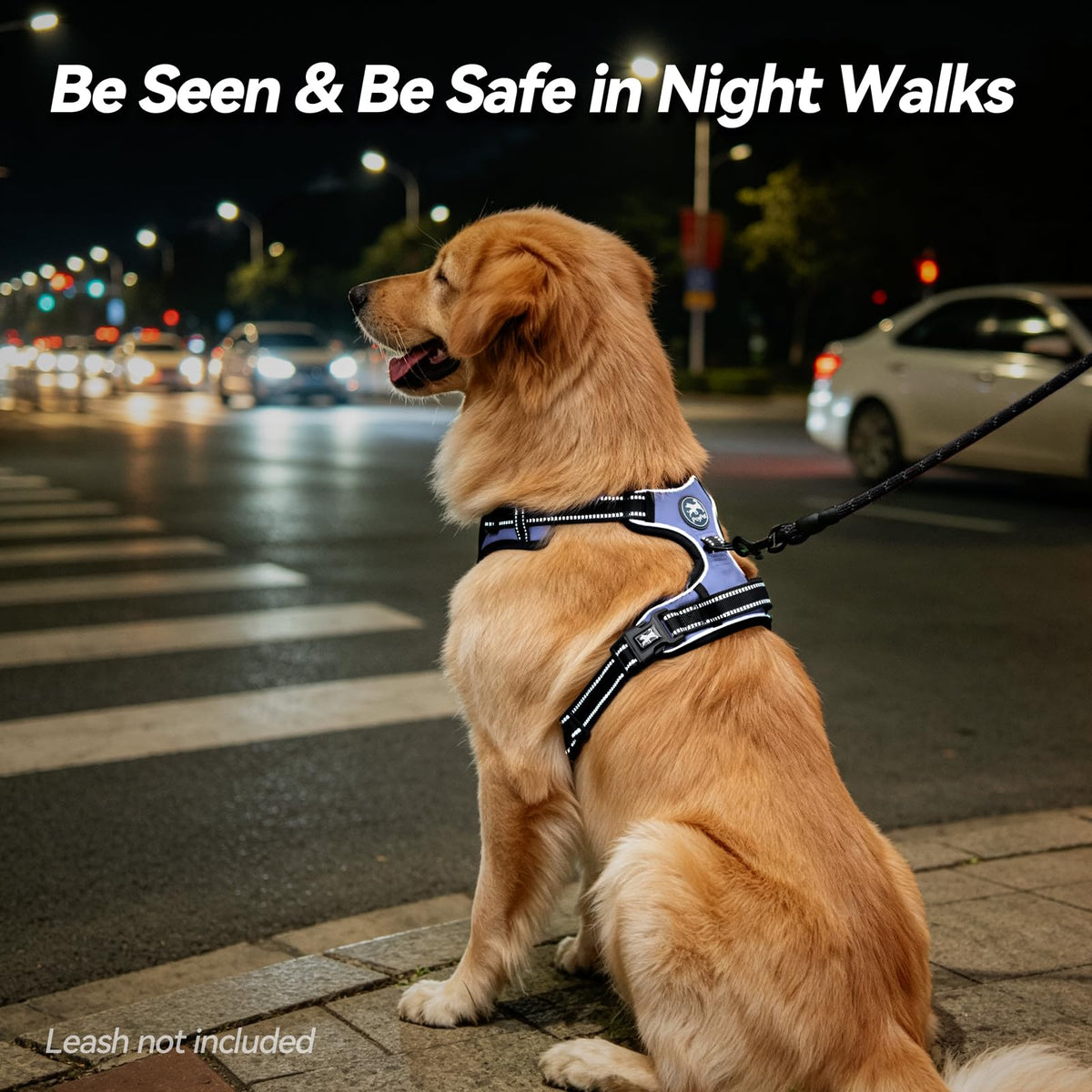 No Pull Dog Harness Medium with Front Clip & Neck Release Buckle (Medium / Light Blue)