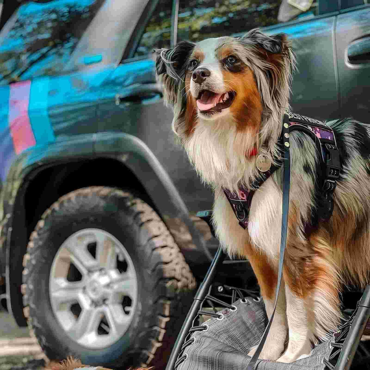 Tactical Dog Harness for Extra Large Dogs (Camo - Purple Camo / XXL(Neck:21.7-36.7",Chest:28.3-44.1"))