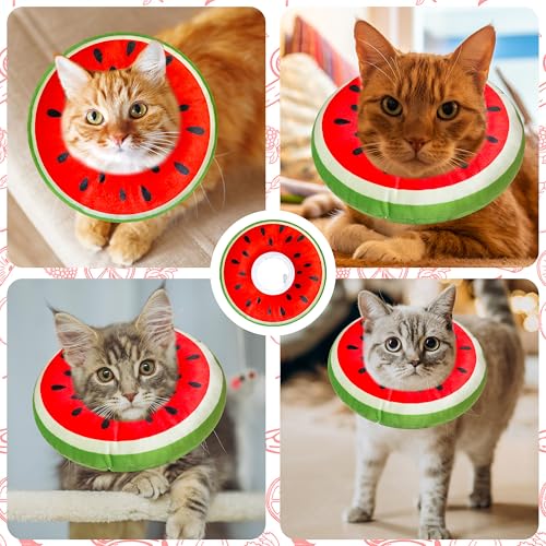 Cat Cone Collar Soft (Watermelon / Medium)