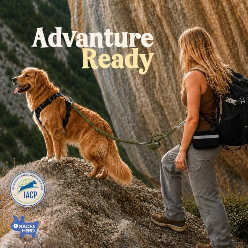 Dog Running Leash Hands Free (Olive)
