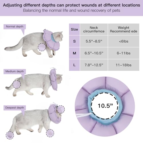 Soft Cat Cone Collar (M-Standard / purple)