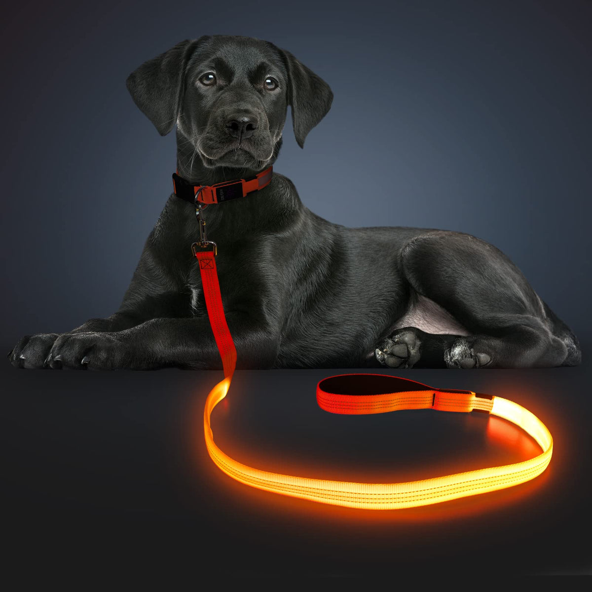LED Light Up Dog Leash 3 Lighting Modes USB Rechargeable (Orange-3S)