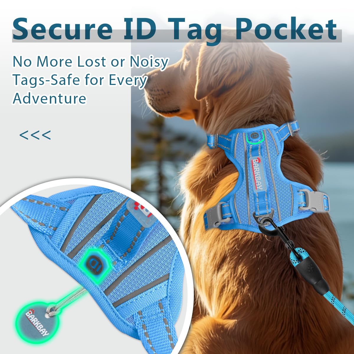 No Pull Dog Harness for Medium Sized Dogs (Blue / Medium(Chest:21.3-29"))