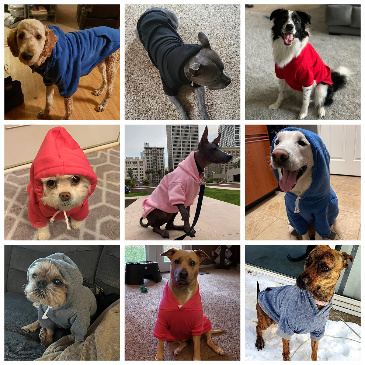 Basic Dog Hoodie (Pink / X-Large/XX-Large)